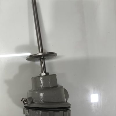 TC End Temperature Sensor pt-100 with WP Head